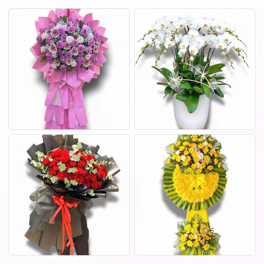 shop hoa tươi Bến Tre giao nhanh