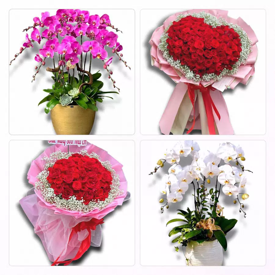 Đặt hoa tươi tại Bình Dương Phù Mỹ Bình Định