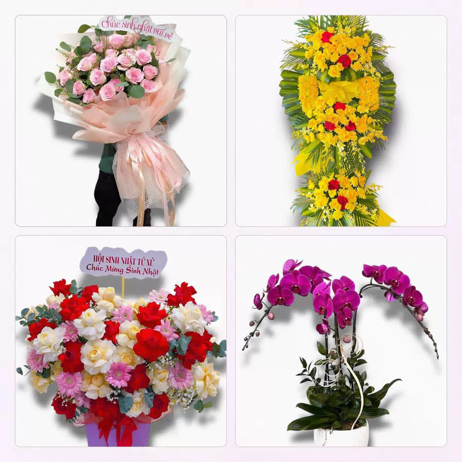shop hoa Bình Minh Vĩnh Long giao hoa tận nơi