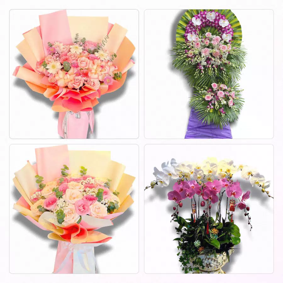 shop hoa tươi Gia Nghĩa Đắk Nông