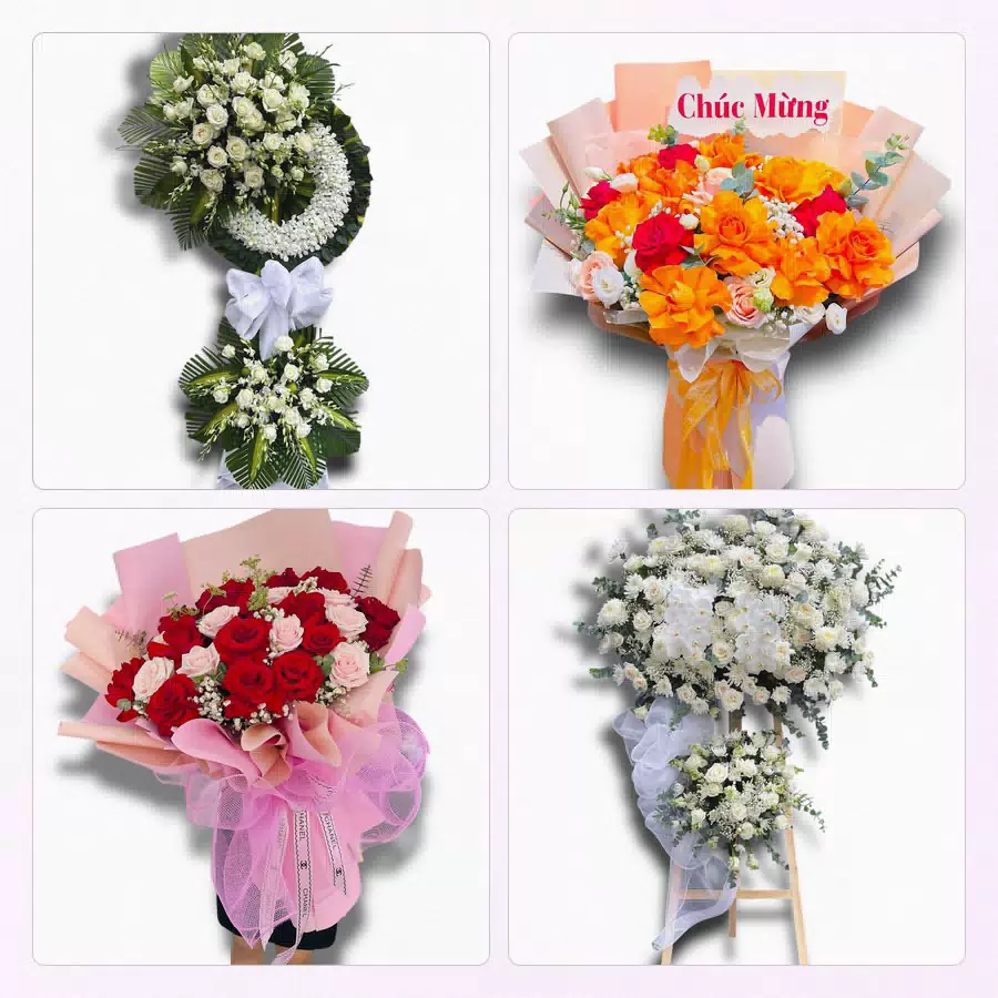 shop hoa Gio Linh Quảng Trị