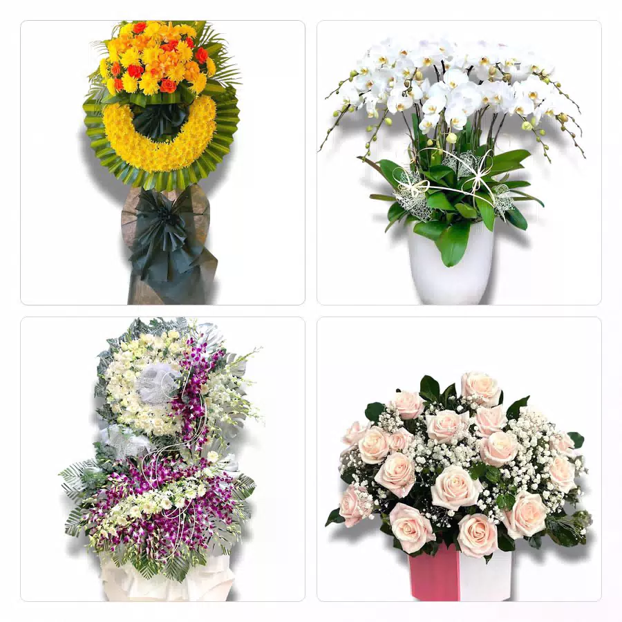 shop hoa Long Biên giao hoa tận nơi
