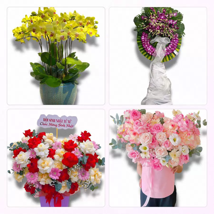shop hoa Núi Đèo giao tận nơi
