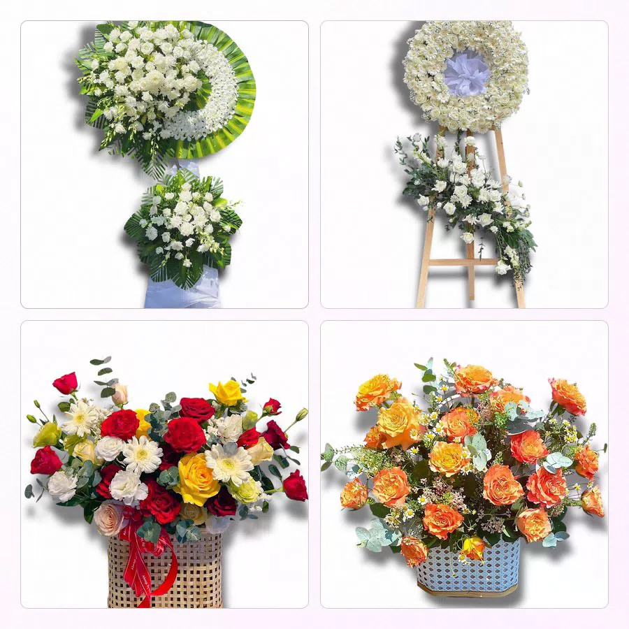 Đặt Hoa Tươi Ở Phường An Biên, Hải Phòng - Hoa Tươi Mỗi Ngày