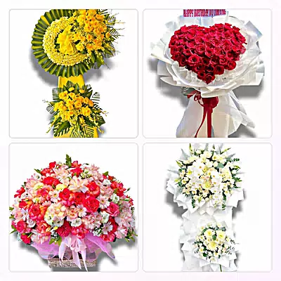 Đặt Hoa Tươi Ở Phường Bến Cát, TP.HCM - Sinh Nhật – Khai Trương – Chia Buồn