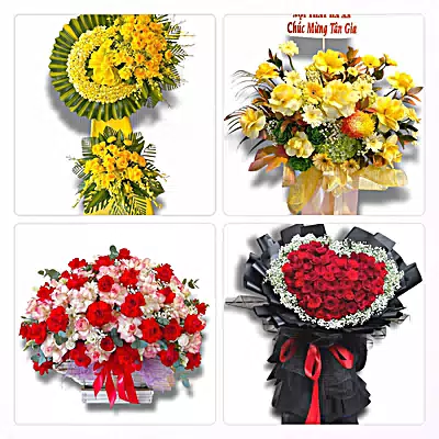 Đặt Hoa Tươi Ở Phường Cát Lái, TP.HCM - Sinh Nhật – Khai Trương – Chia Buồn