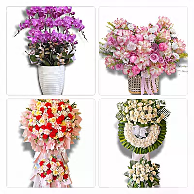 Đặt Hoa Tươi Ở Phường Điện Biên Phủ, Điện Biên - Giao Tận Tay Người Nhận