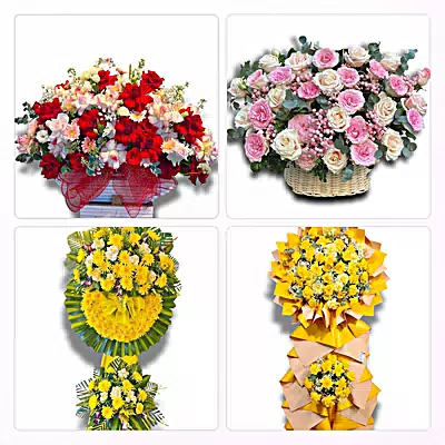 Đặt Hoa Tươi Ở Phường Đông Hải, Hải Phòng - Giao Tận Nơi