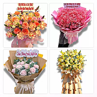 Đặt Hoa Tươi Ở Phường Long An, Tây Ninh - Hoa Tươi Mỗi Ngày