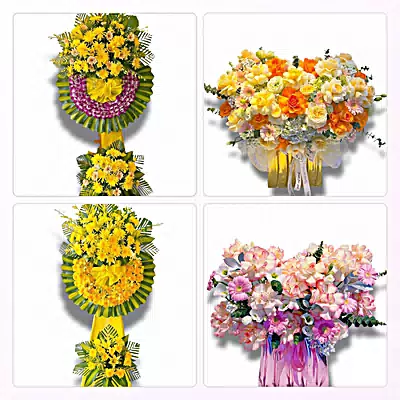 Đặt Hoa Tươi Ở Phường Móng Cái 1, Quảng Ninh - Sinh Nhật – Khai Trương – Chia Buồn