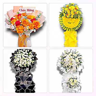 Đặt Hoa Tươi Ở Phường Nam Triệu, Hải Phòng - Sinh Nhật – Khai Trương – Chia Buồn