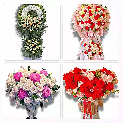 Đặt Hoa Tươi Ở Phường Tân Đông Hiệp, TP.HCM - Sinh Nhật – Khai Trương – Chia Buồn
