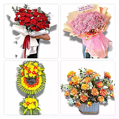 Đặt Hoa Tươi Ở Phường Tân Hòa - Giao Hoa Tận Nhà