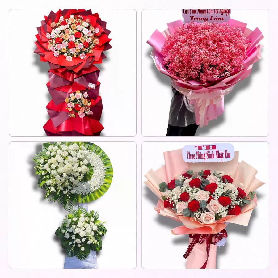Đặt Hoa Tươi Ở Phường Tây Thạnh, TP.HCM - Hoa Tươi Mỗi Ngày