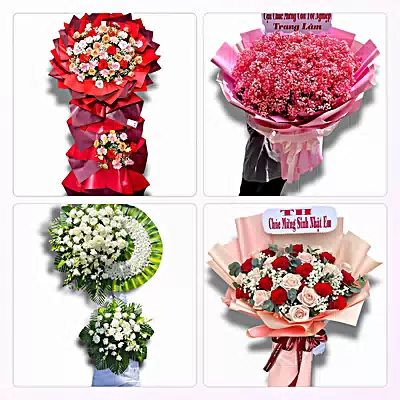 Đặt Hoa Tươi Ở Phường Tây Thạnh, TP.HCM - Hoa Tươi Mỗi Ngày