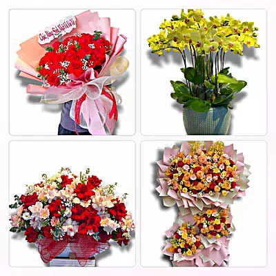 Đặt Hoa Tươi Ở Phường Thới Sơn, Đồng Tháp - Nhận Đặt Mọi Dịp