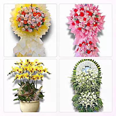 Đặt Hoa Tươi Ở Xã Trần Phú, Hải Phòng - Sinh Nhật – Khai Trương – Chia Buồn