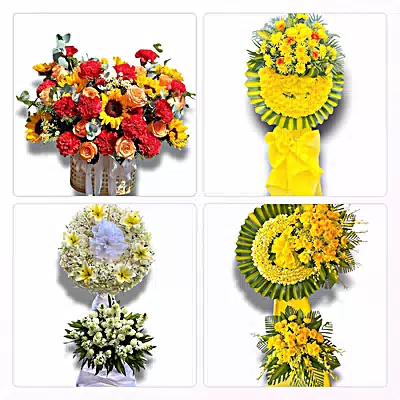 Đặt Hoa Tươi Online Tại Phường Kim Thanh, Ninh Bình - Sinh Nhật – Khai Trương – Chia Buồn