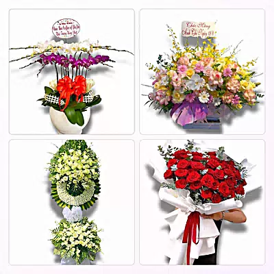 Đặt Hoa Tươi Online Tại Phường Nam Hoa Lư, Ninh Bình - Đặt Hoa Nhanh, Gọi Là Có