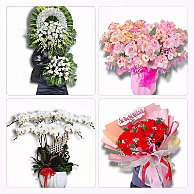 Đặt Hoa Tươi Online Tại Phường Phù Vân, Ninh Bình - Sinh Nhật – Khai Trương – Chia Buồn