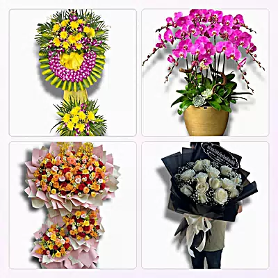 Đặt Hoa Tươi Online Tại Xã Đông Phước, Cần Thơ - Sinh Nhật – Khai Trương – Chia Buồn