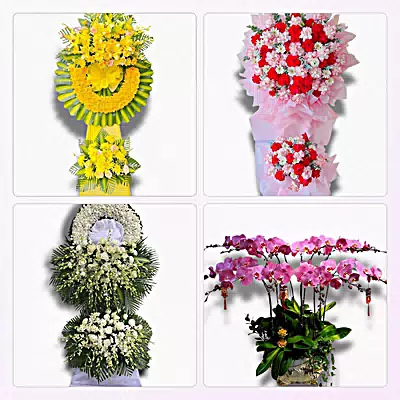 Đặt Hoa Tươi Online Tại Xã Vị Thanh 1, Cần Thơ - Sinh Nhật – Khai Trương – Chia Buồn