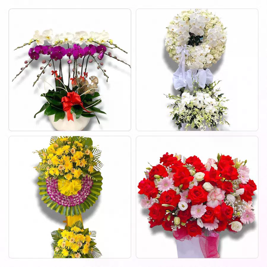 Shop hoa tươi Phường An Lạc giao hoa theo yêu cầu
