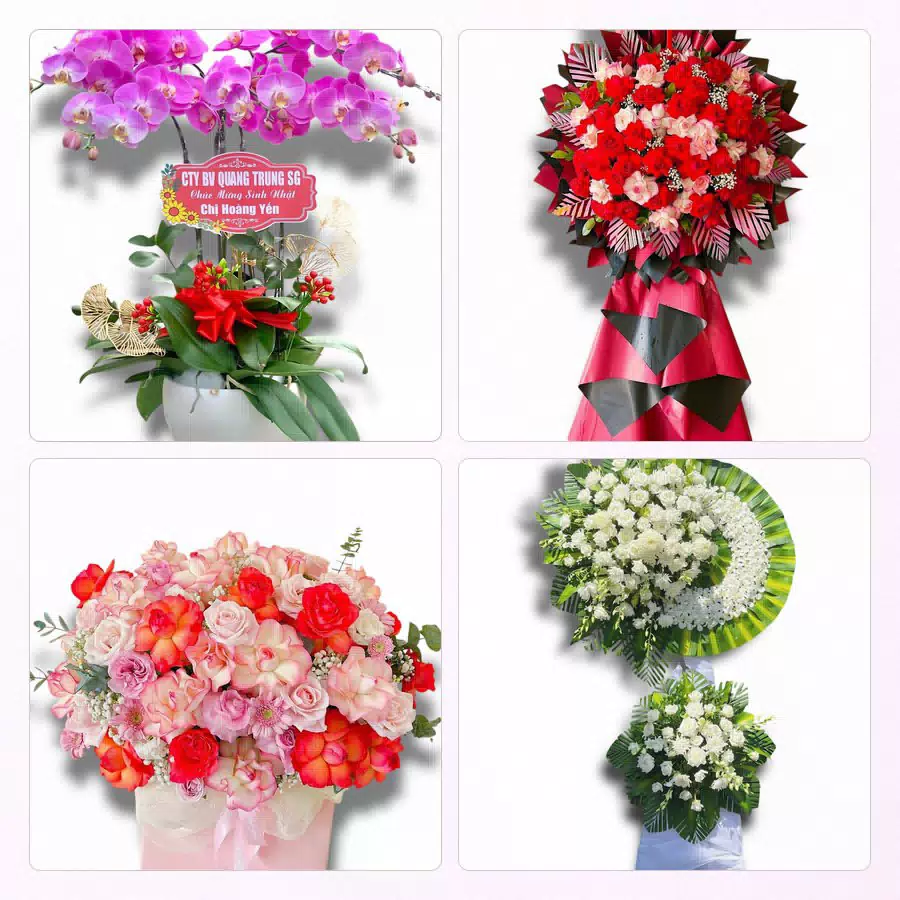 Đặt hoa tươi tại Phường An Tường, Tuyên Quang