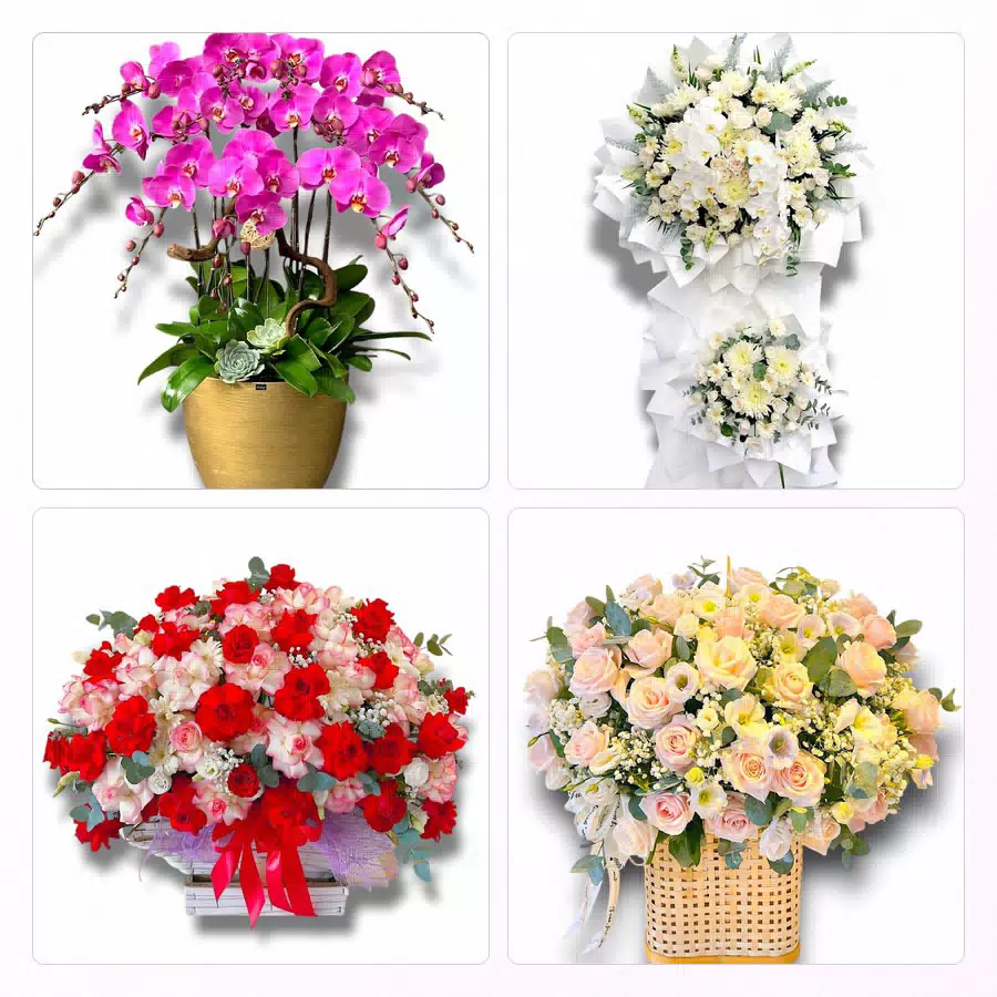 Shop hoa tươi Phường Bình Thới TP.HCM