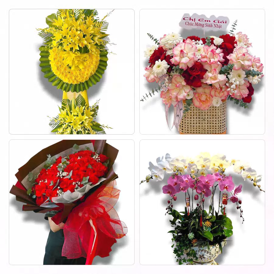 shop hoa tươi Phường Cẩm Thành, Quảng Ngãi
