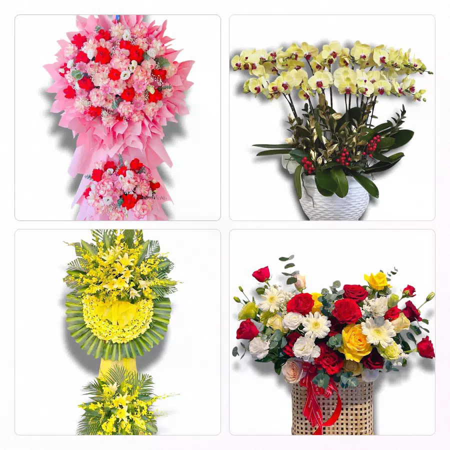 shop hoa tươi Phường Chánh Hiệp