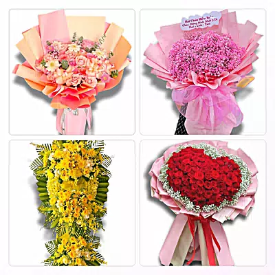 Đặt Hoa Tươi Phường Đông Hoa Lư, Ninh Bình - Sinh Nhật – Khai Trương – Chia Buồn