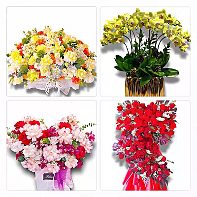 Đặt Hoa Tươi Phường Đức Phổ, Quảng Ngãi - Nhận Đặt Mọi Dịp