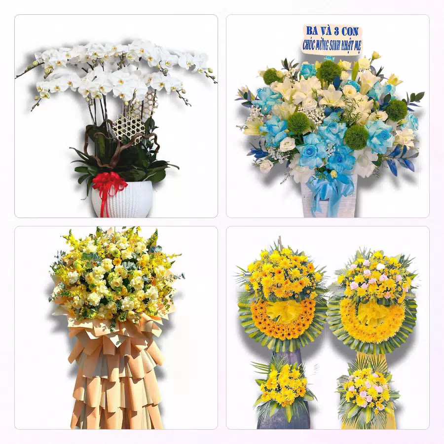hoa tươi giao tại Phường Hải Châu Đà Nẵng