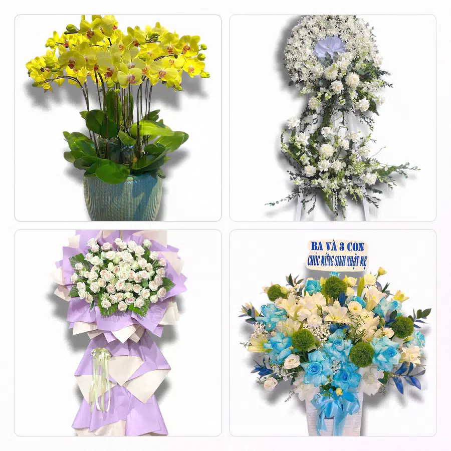 Bó hoa tươi giao tận nơi tại Phường Hòa Hưng, TP.HCM