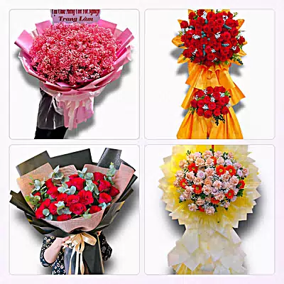 Đặt Hoa Tươi Phường Mỹ Ngãi, Đồng Tháp - Đặt Hoa Nhanh, Gọi Là Có
