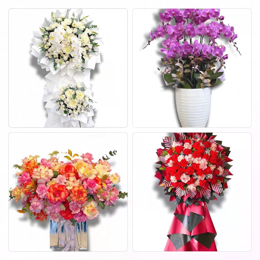 Đặt Hoa Tươi Phường Mỹ Thượng - Sinh Nhật – Khai Trương – Chia Buồn