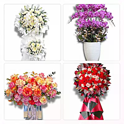 Đặt Hoa Tươi Phường Mỹ Thượng - Sinh Nhật – Khai Trương – Chia Buồn