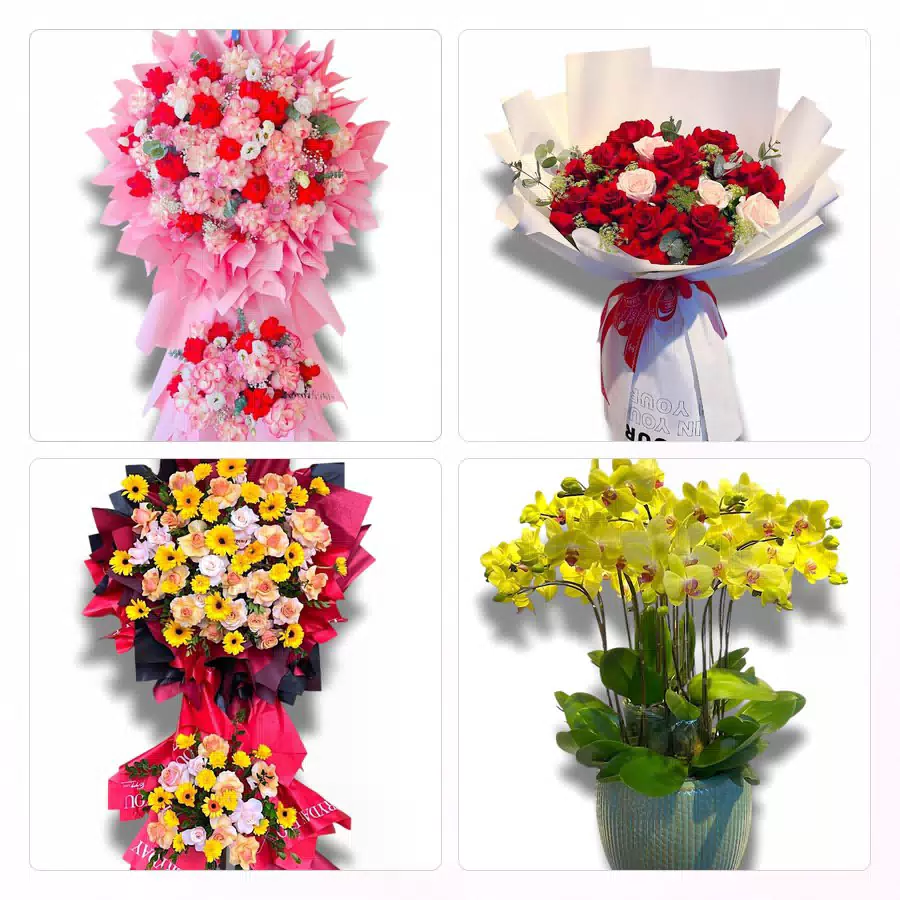 shop hoa Đồ Sơn Hải Phòng