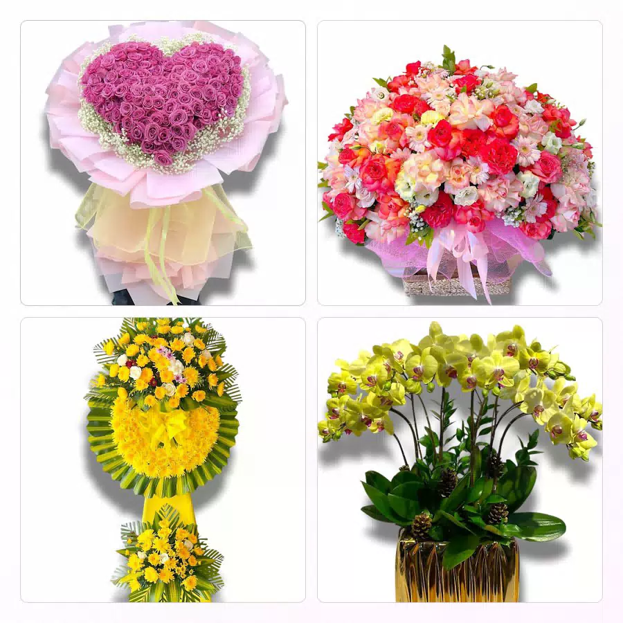 hoa tươi giao gấp Phường Nam Sầm Sơn