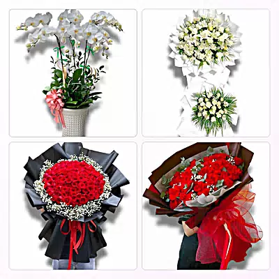 Đặt Hoa Tươi Phường Ngô Quyền, Hải Phòng - Giao Hoa Tận Nhà