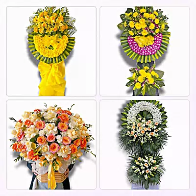 Đặt Hoa Tươi Phường Phong Châu, Phú Thọ - Sinh Nhật – Khai Trương – Chia Buồn