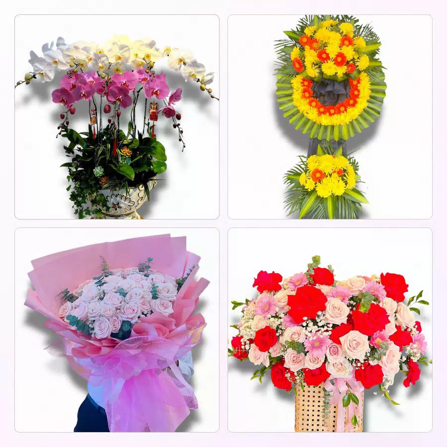 Shop hoa tươi Phường Phú An, TP.HCM