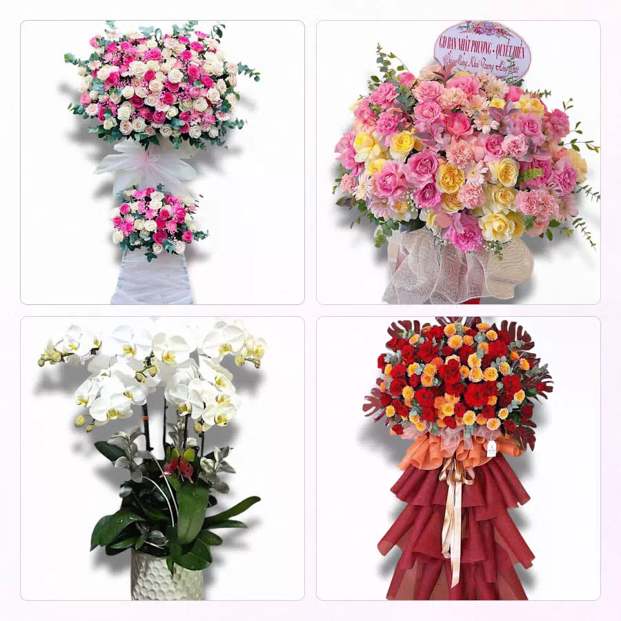 hoa tươi giao tại Phường Phú Định