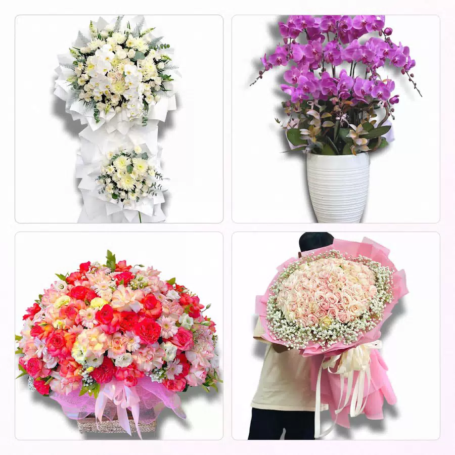 hoa tươi giao tại Phường Phú Khương Vĩnh Long