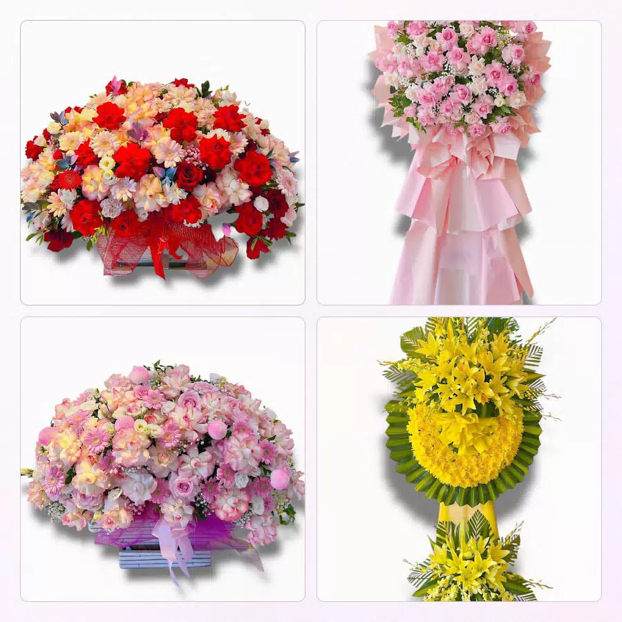 shop hoa tươi Phước Long giao tận nơi