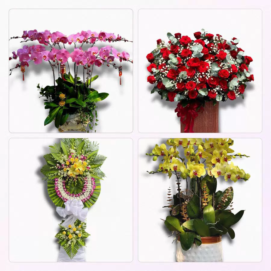 shop hoa tươi Phường Quảng Yên