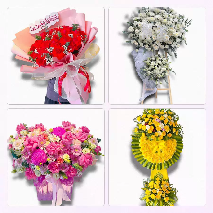 shop hoa tươi Phường Quy Nhơn Nam, Gia Lai