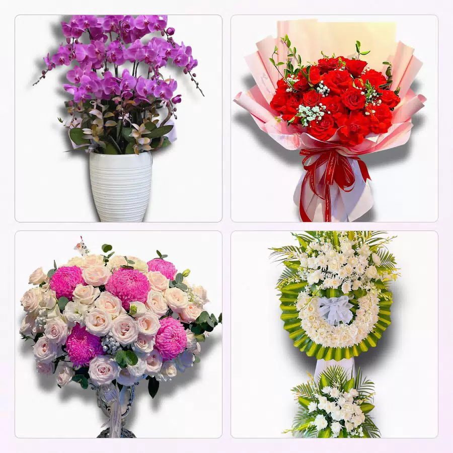 Shop hoa tươi Phường Rạch Dừa, TP.HCM