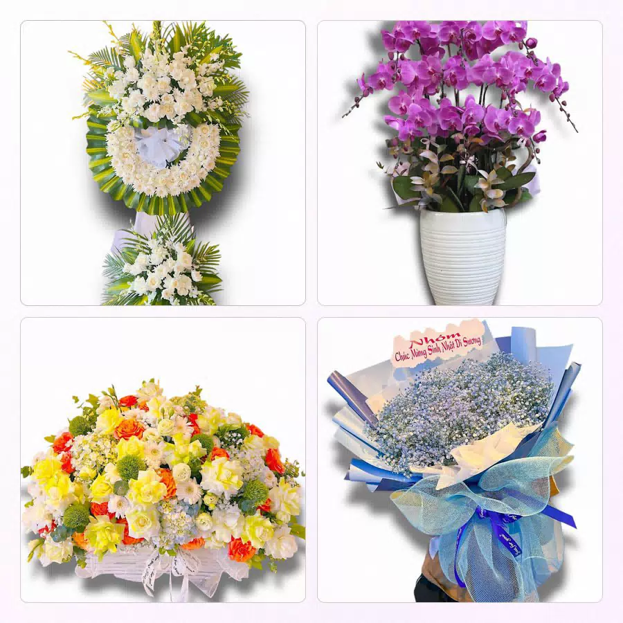 shop hoa Tam Kỳ Đà Nẵng giao hàng